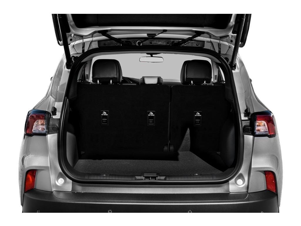 Ford Escape SEL 2020 White Ottawa & Gatineau - photo #7