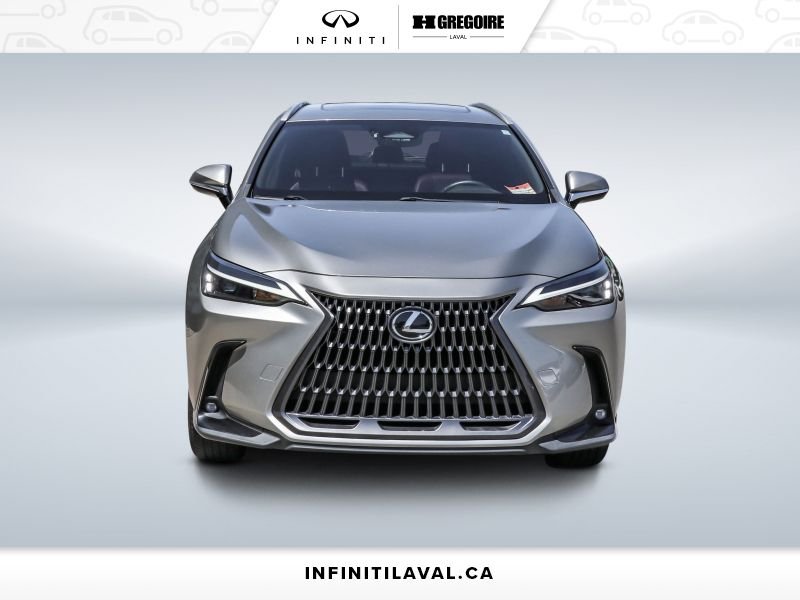 2024 Lexus NX Blainville - photo #1