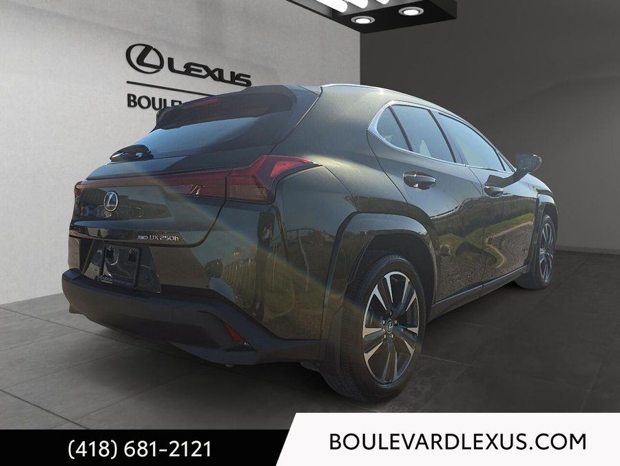 Lexus UX UX 250h CVT 2024 Vert