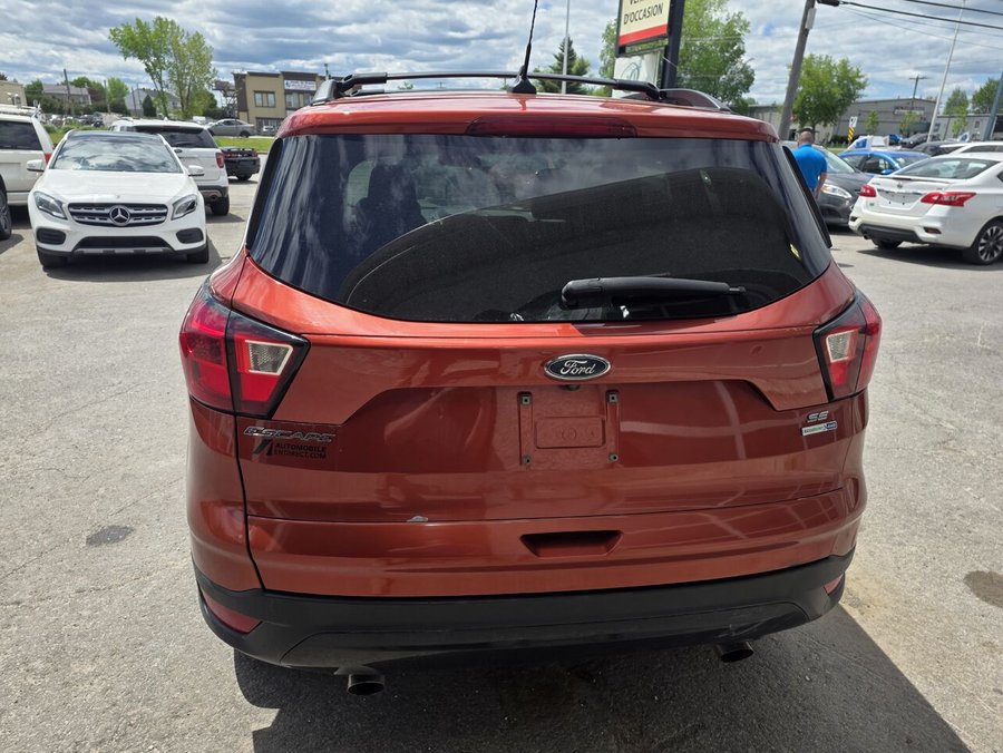 2019 Ford Escape 2019 Orange