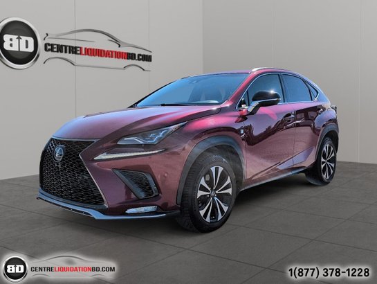 Lexus NX 2019 2019 Rouge