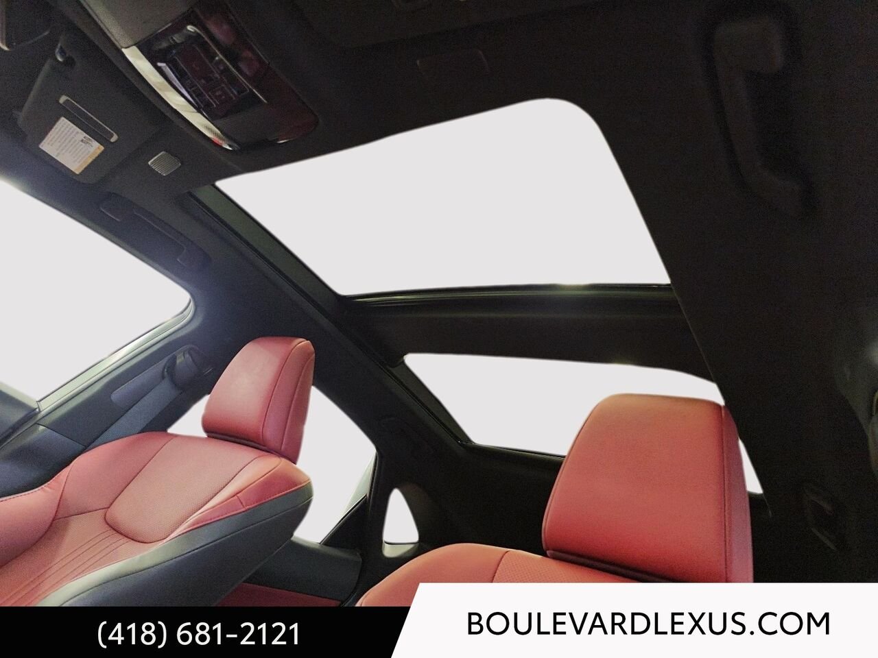 Lexus NX 19941A | NX 350 TI 2023 Gris Québec - photo #10