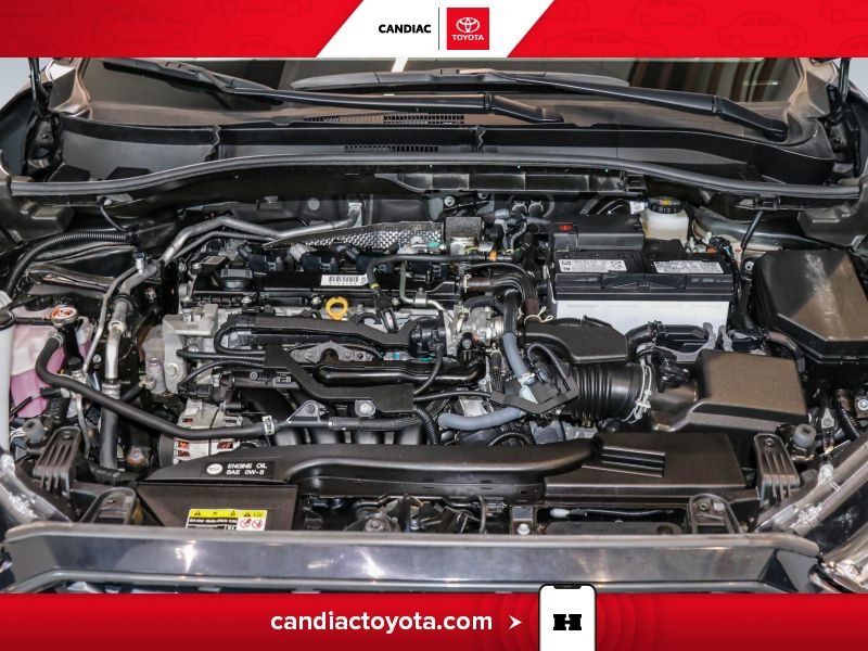 2025 Toyota Corolla Black Laval - photo #35
