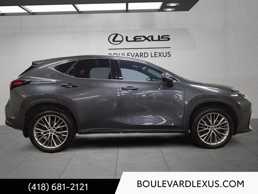 Lexus NX 2023 2023 Gris