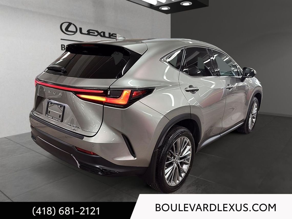 2022 Lexus NX Silver Quebec - photo #20