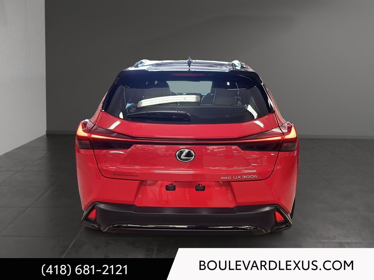 2025 Lexus UX Red Quebec - photo #4