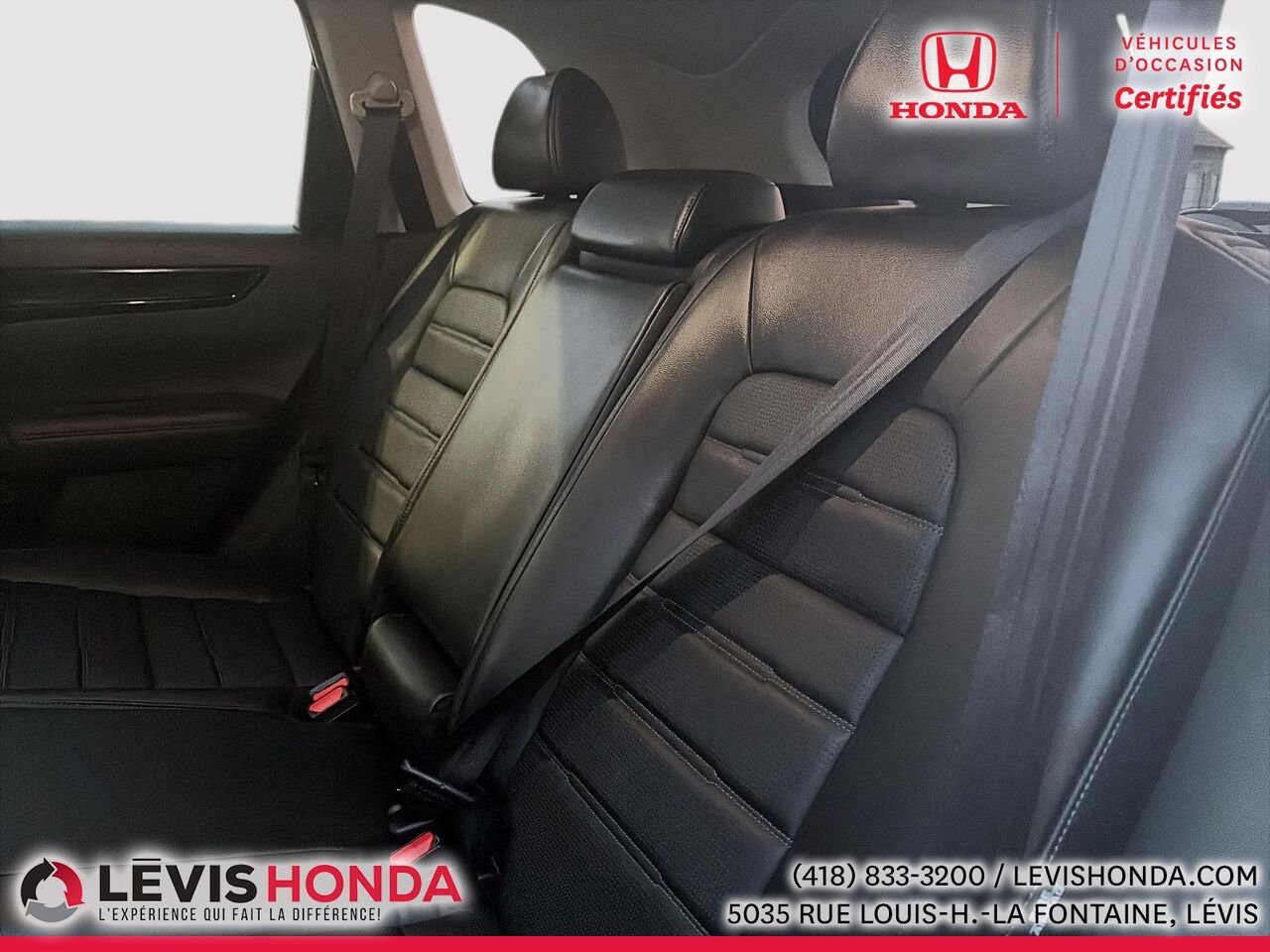 2023 Honda CR-V EX-L AWD EX-L Traction Intégrale White Lévis - photo #16