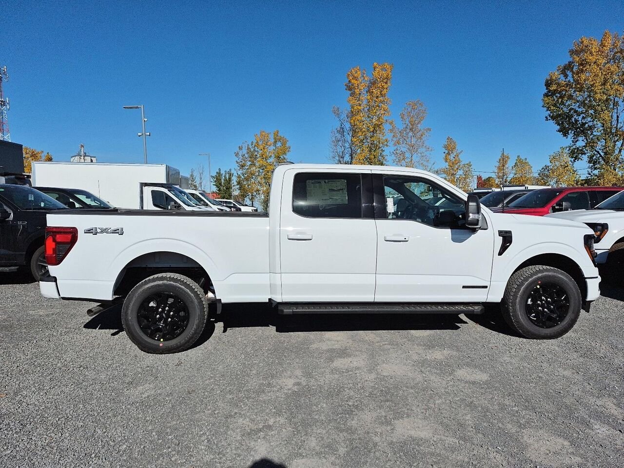 Ford F-150 2F458 | XLT 2026 Blanc Oxford Saint-Jérôme - photo #6