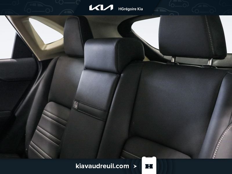 Lexus NX KA8037 | NX 300 AWD 2021 Gris Laval - photo #14
