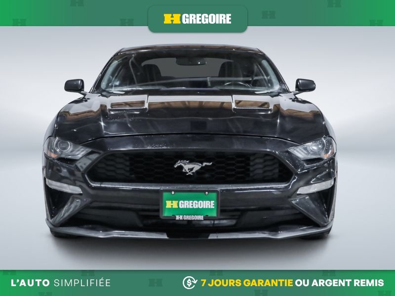 2019 Ford Mustang Black Laval - photo #1