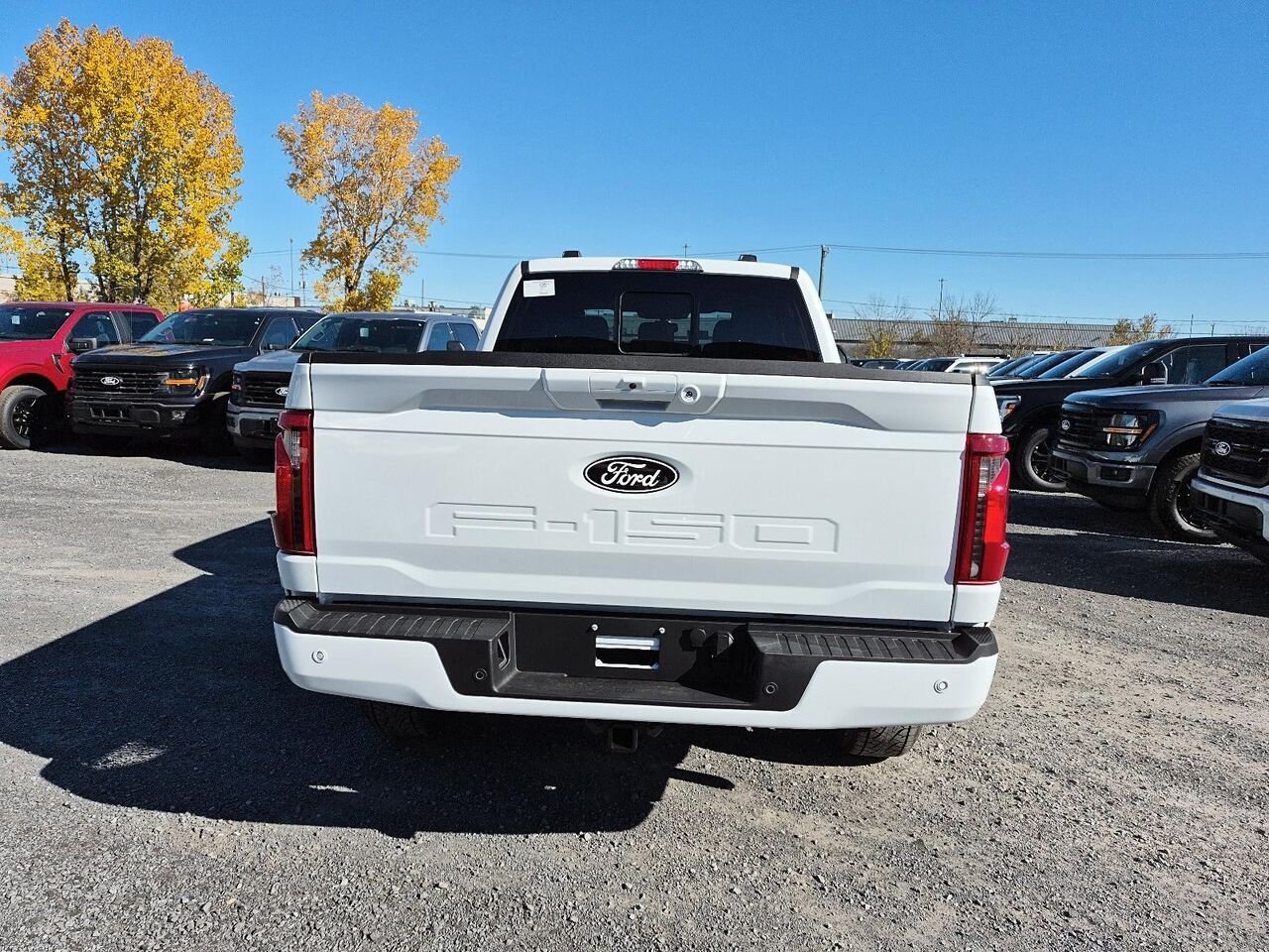 Ford F-150 2F417 | XLT 2026 Blanc Oxford Saint-Jérôme - photo #4