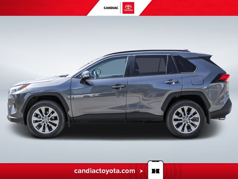 2024 Toyota Rav 4 2024 Grey