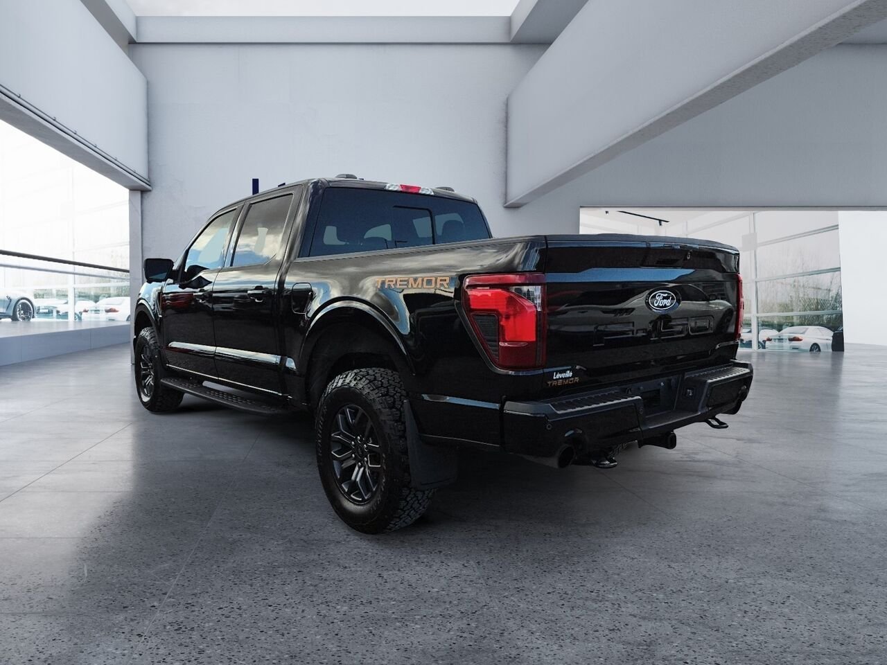 2025 Ford F-150 Black Saint-Jérôme - photo #3