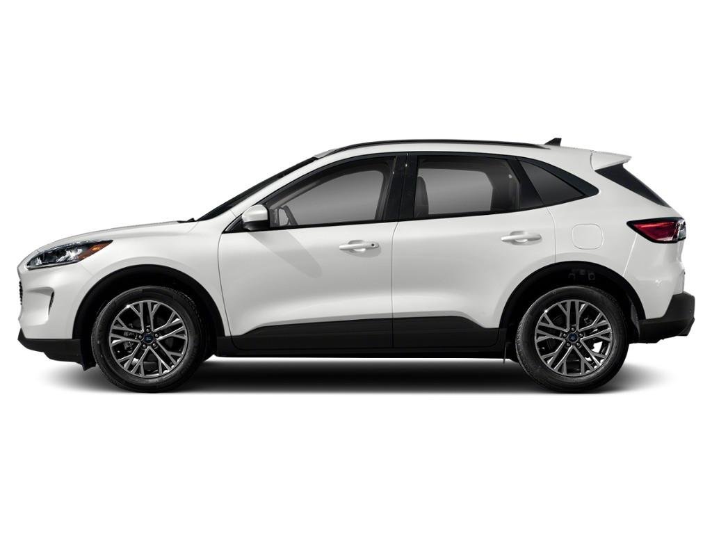 Ford Escape SEL 2020 White Ottawa & Gatineau - photo #1