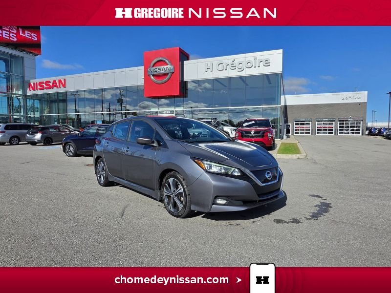 Nissan Leaf 2020 Gris Laval - photo #0
