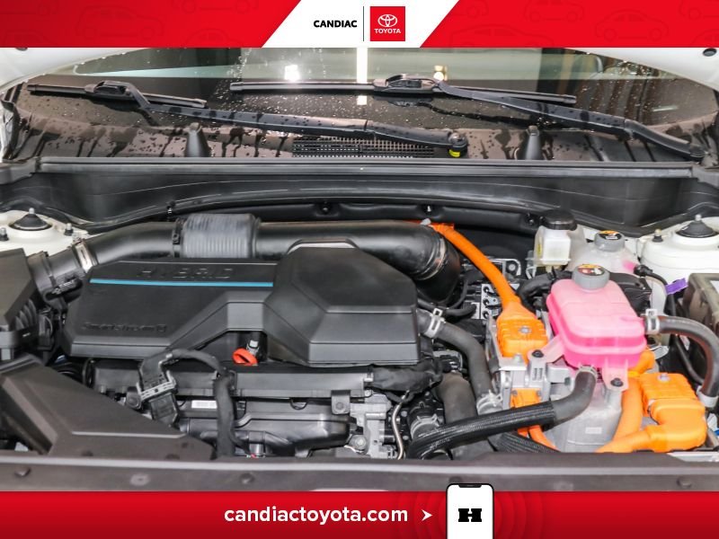 Kia Sportage 2023 Blanc Laval - photo #32