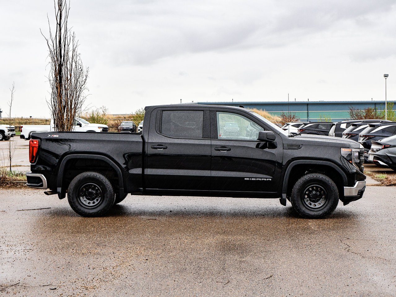2024 GMC Sierra 1500 4WD Crew Cab 147 Pro Black Sherwood Park - photo #13