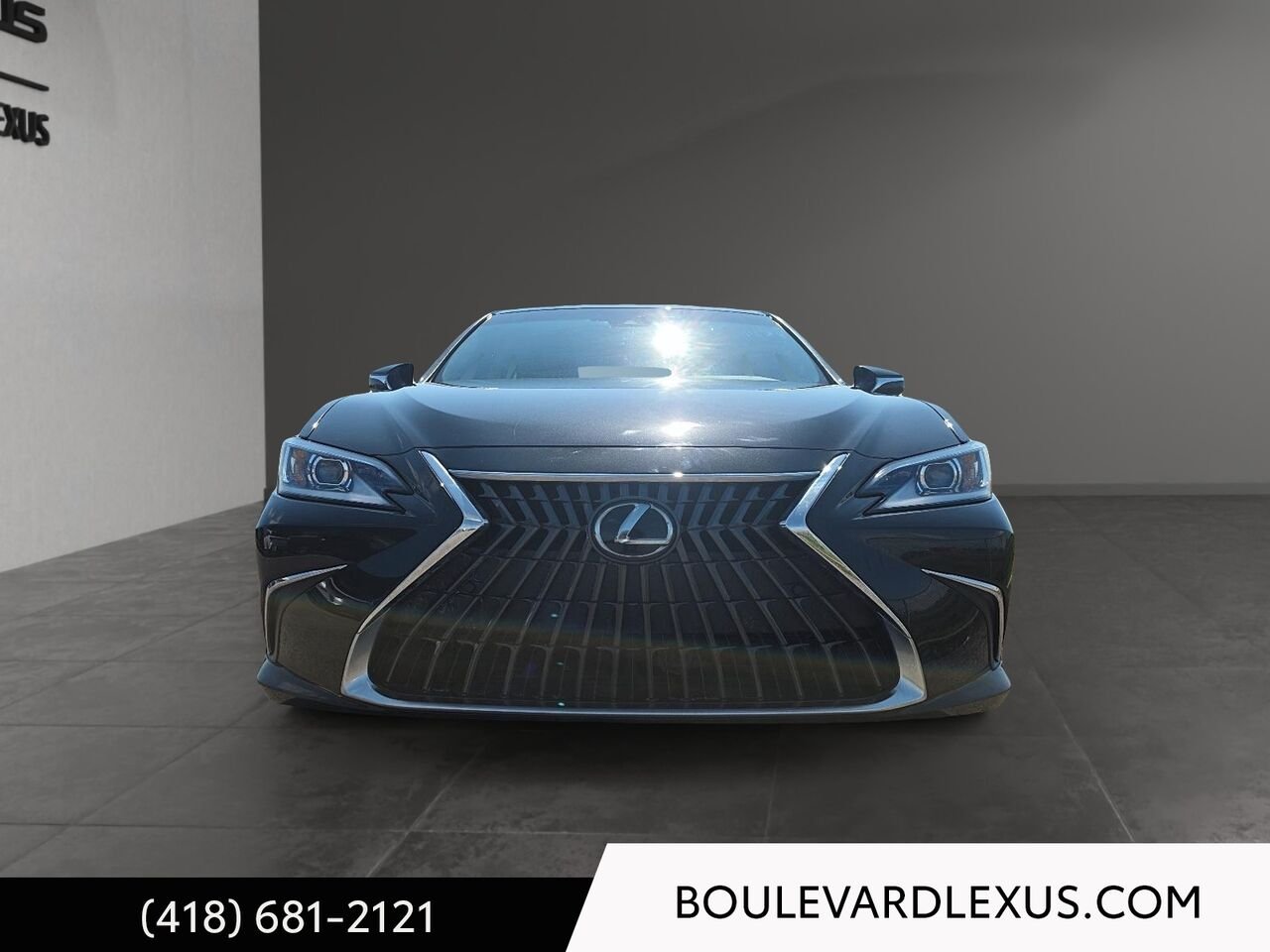 Lexus ES 19868A | ES 300h BA 2023 Noir Québec - photo #1