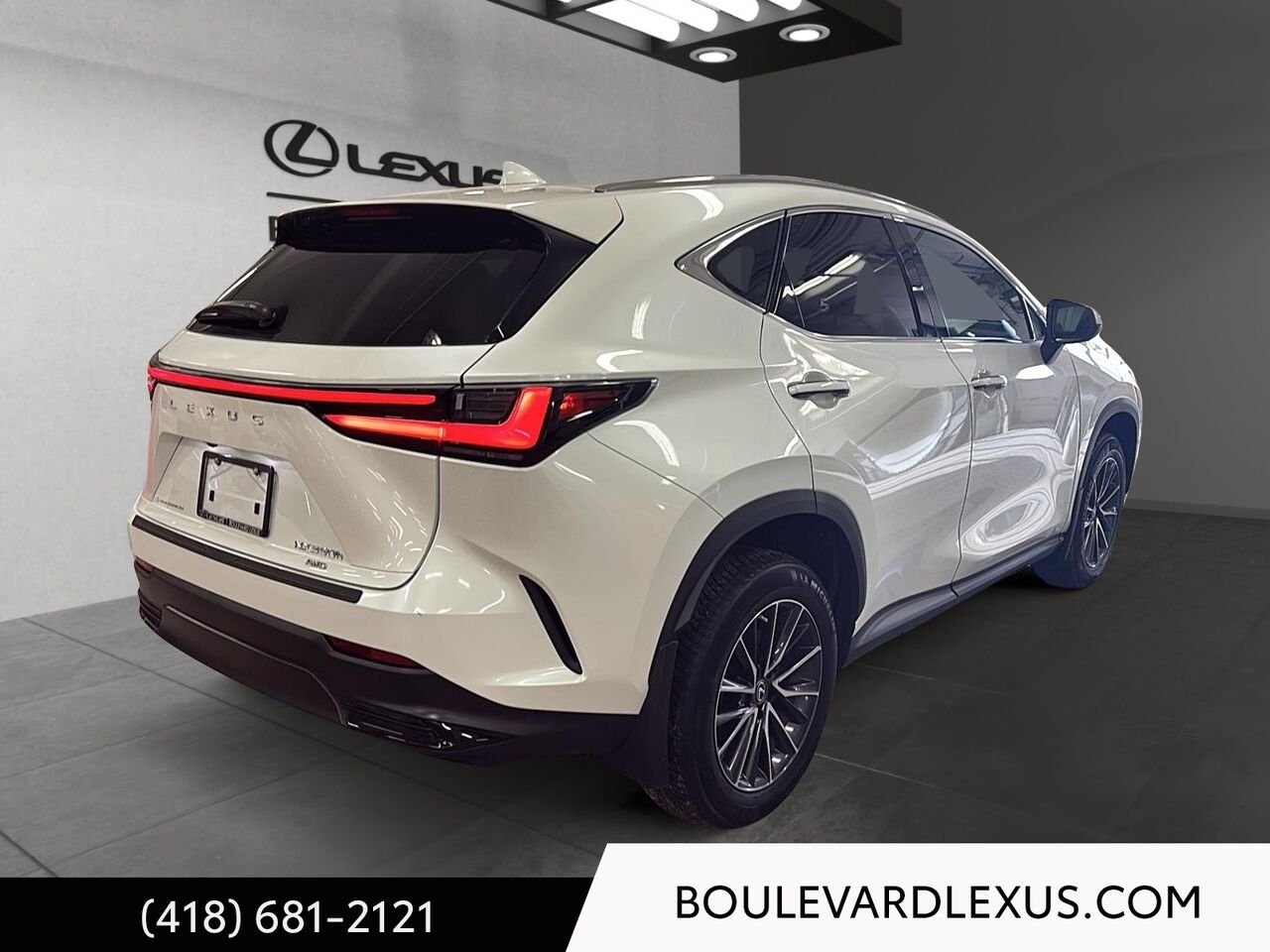 2023 Lexus NX White Quebec - photo #3