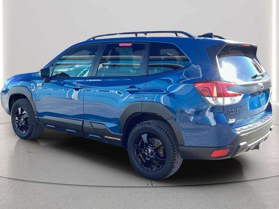 Subaru Forester Wilderness 2024 Bleu