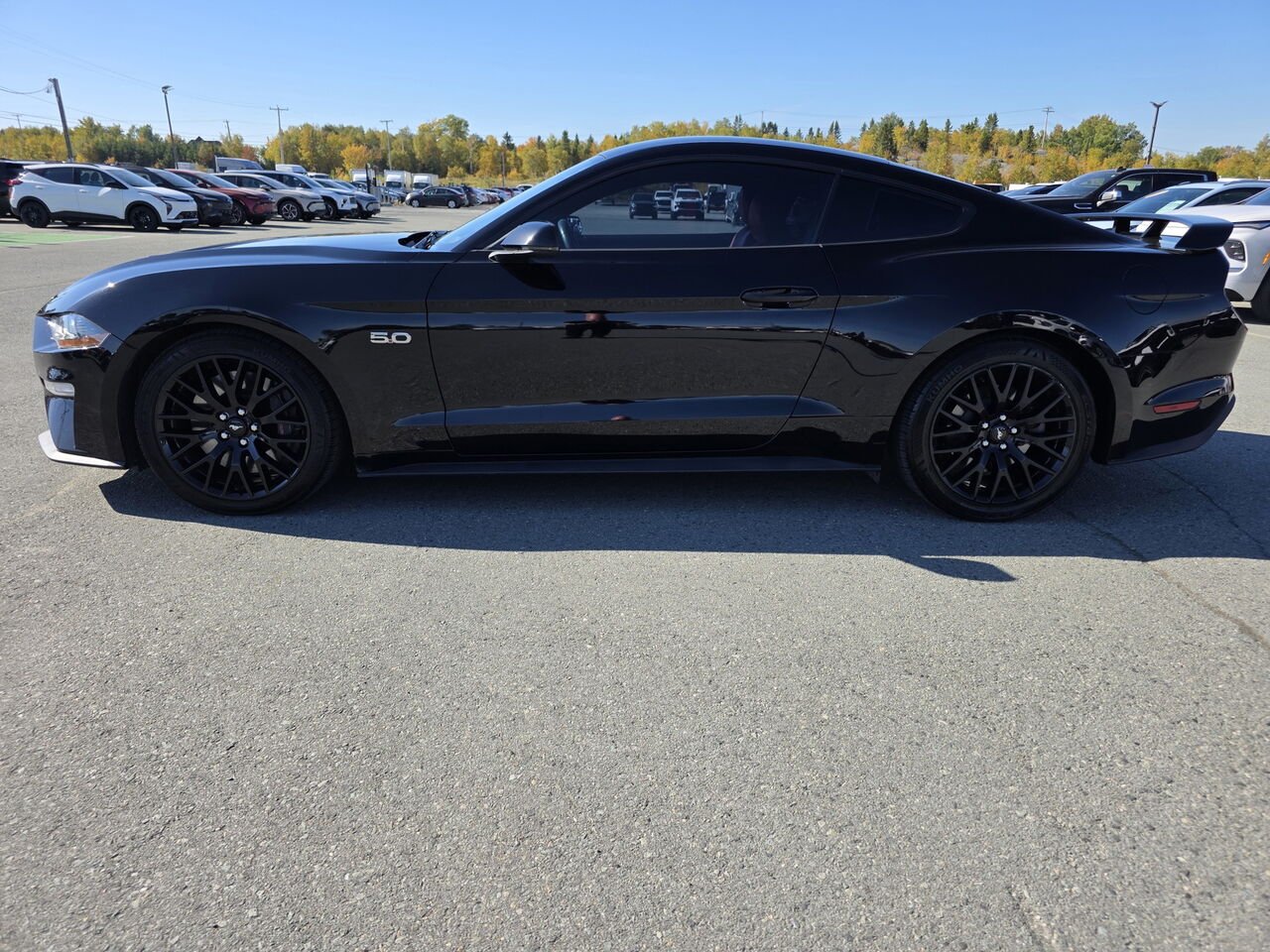 Ford Mustang GT à toit fuyant 2019 Noir Rouyn-Noranda - photo #25