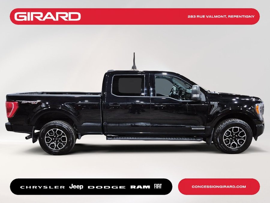 2023 Ford F-150 XLT Grey