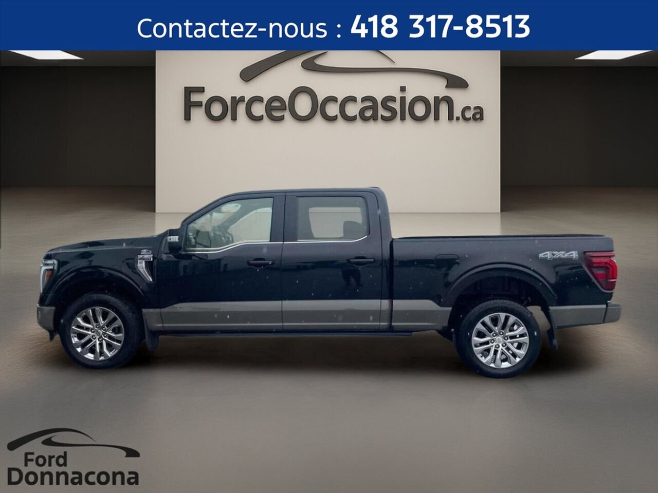 2025 Ford F-150 Black  - photo #4