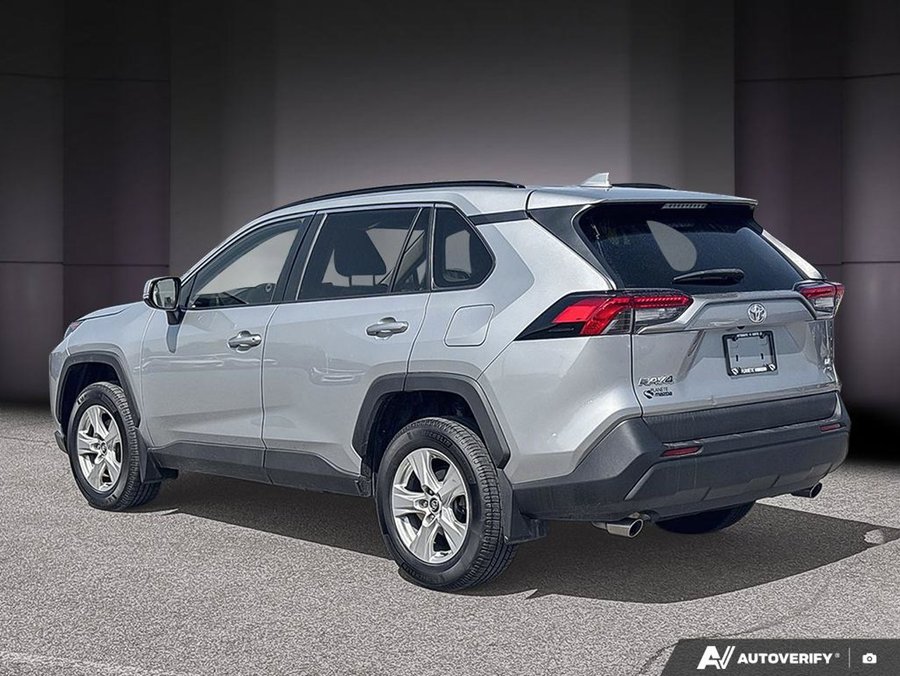Toyota RAV4 2019 2019 Gris