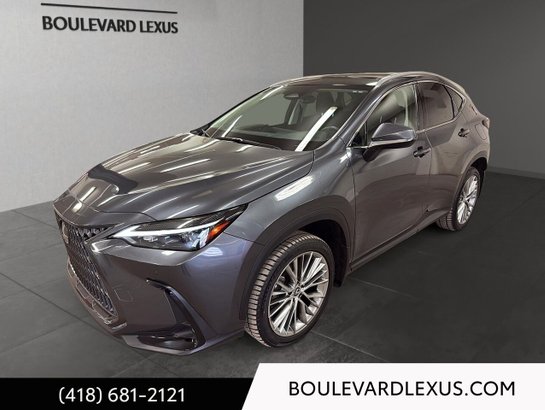 Lexus NX 350h Luxe 2024 Gris