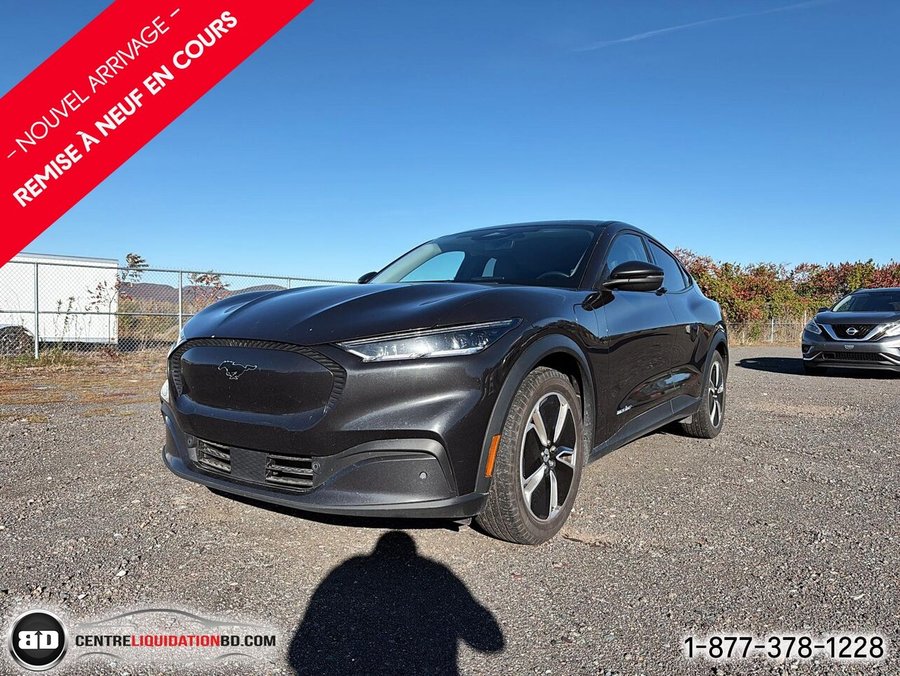 2022 Ford Mustang Mach-E Select Grey