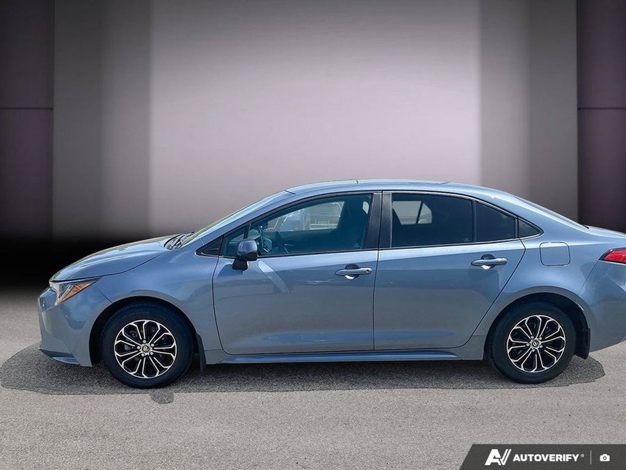 Toyota Corolla 2020 2020 Bleu