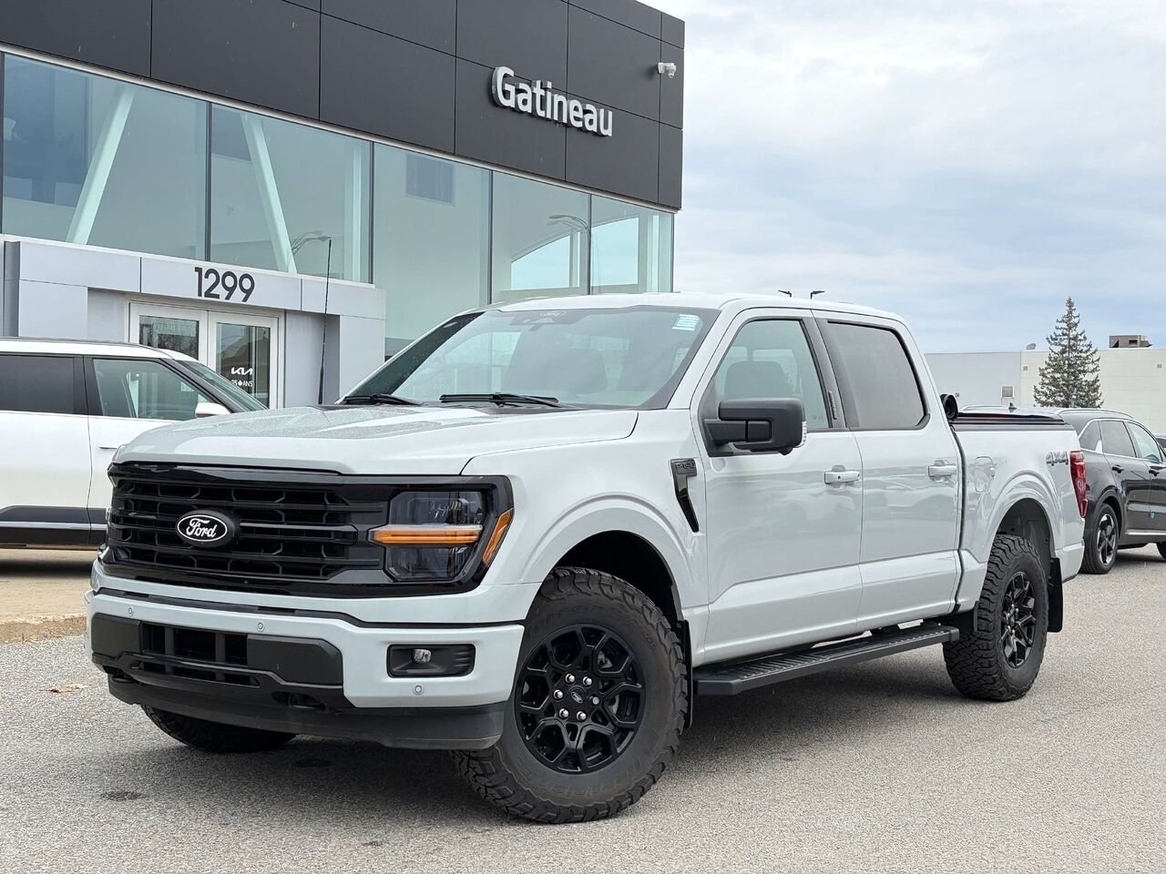 2024 Ford F-150 Grey Gatineau - photo #8
