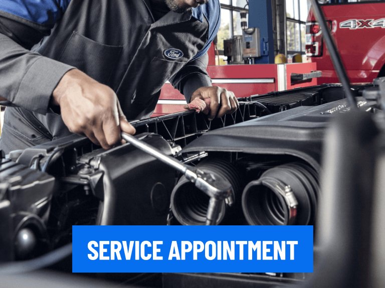 Service