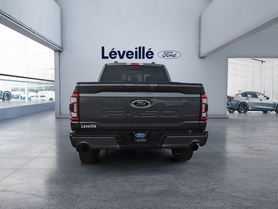 Ford F-150 2023 2023 Gris