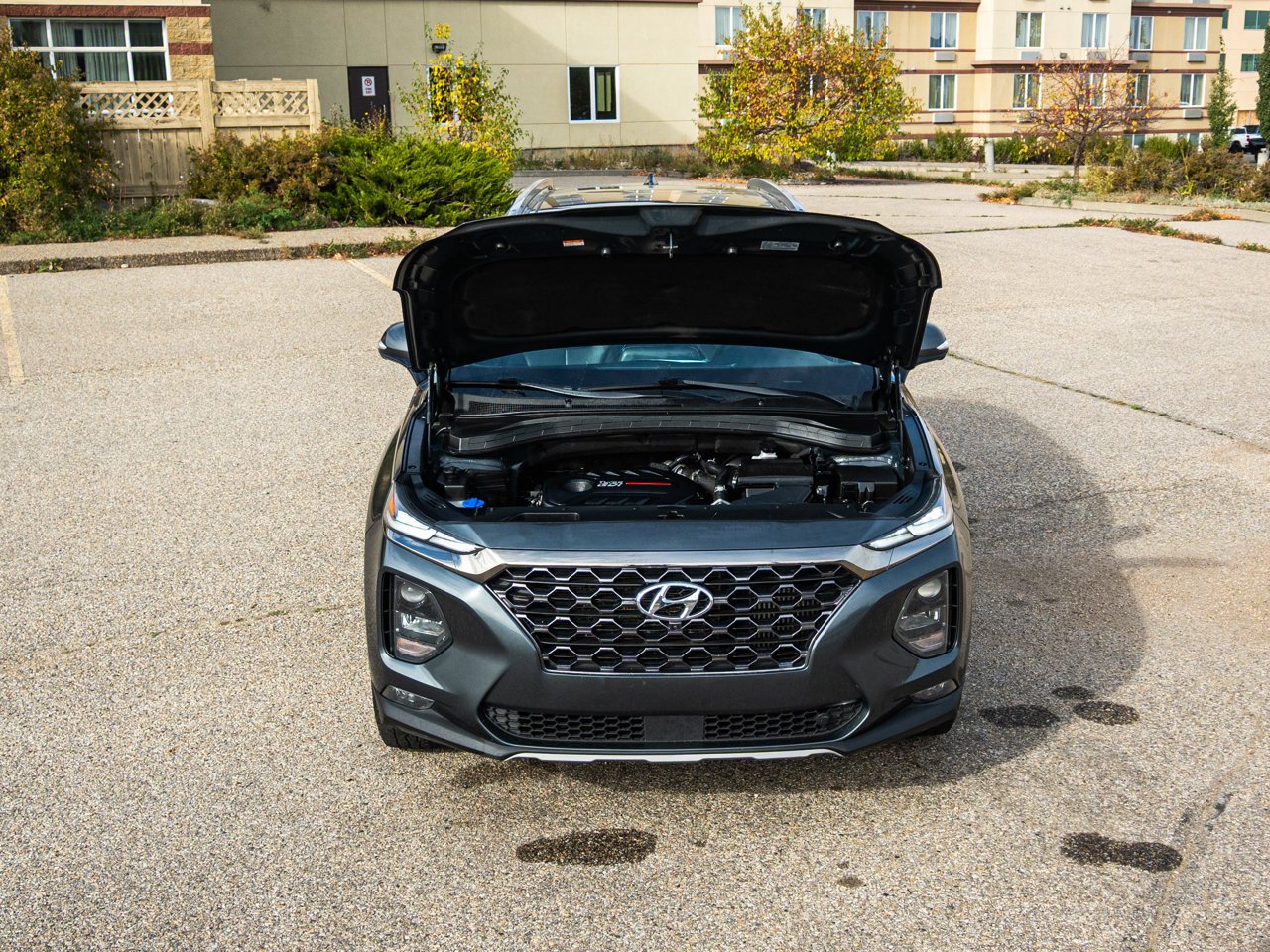 2020 Hyundai Santa Fe 2.0T Luxury AWD Green Sherwood Park - photo #9
