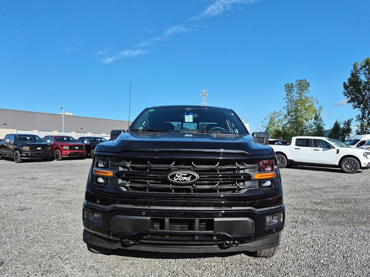Ford F-150 2F229 | XLT 2026 Noir agate métallisé Saint-Jérôme - photo #1