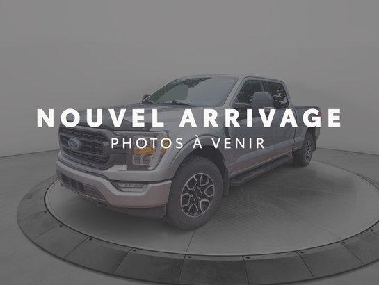 Ford F-150 2023 2023 Gris