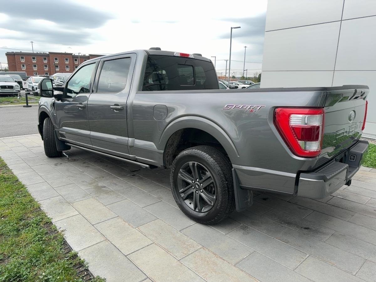 Ford F-150 2023 Gris Saint-Jérôme - photo #6