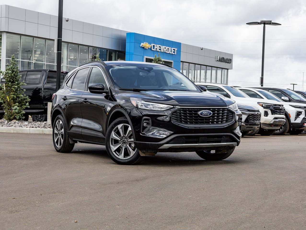 2025 Ford Escape Platinum AWD Black Sherwood Park - photo #1