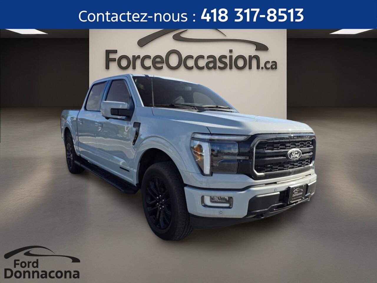 Ford F-150 2024 Gris Donnacona - photo #2