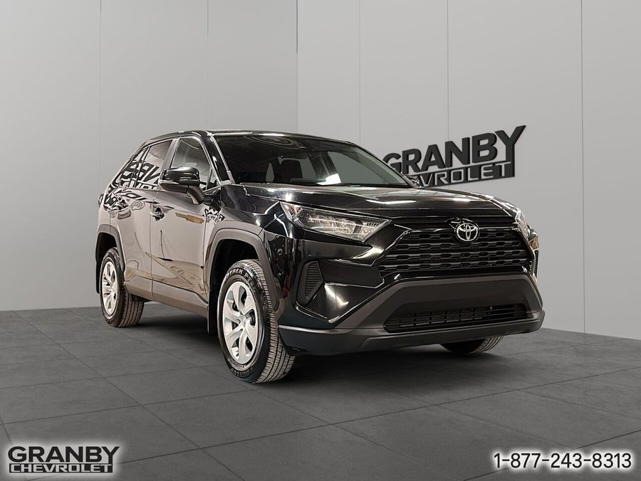 2022 Toyota RAV4 2022 Beige