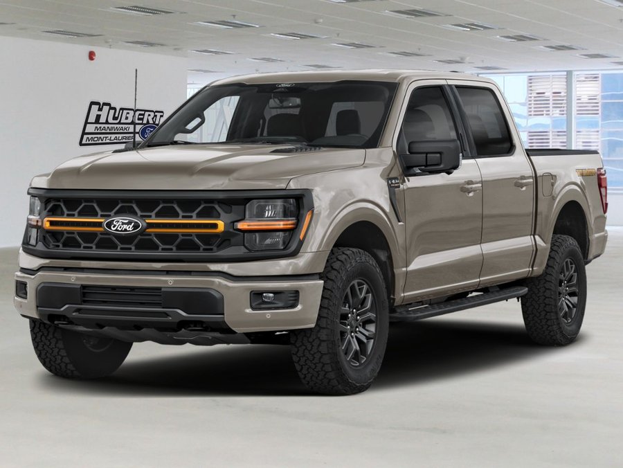 Ford F-150 2026 2026 Gris marais