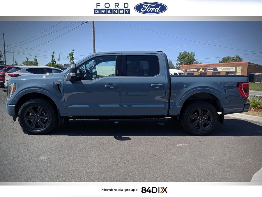 2023 Ford F-150 Blue