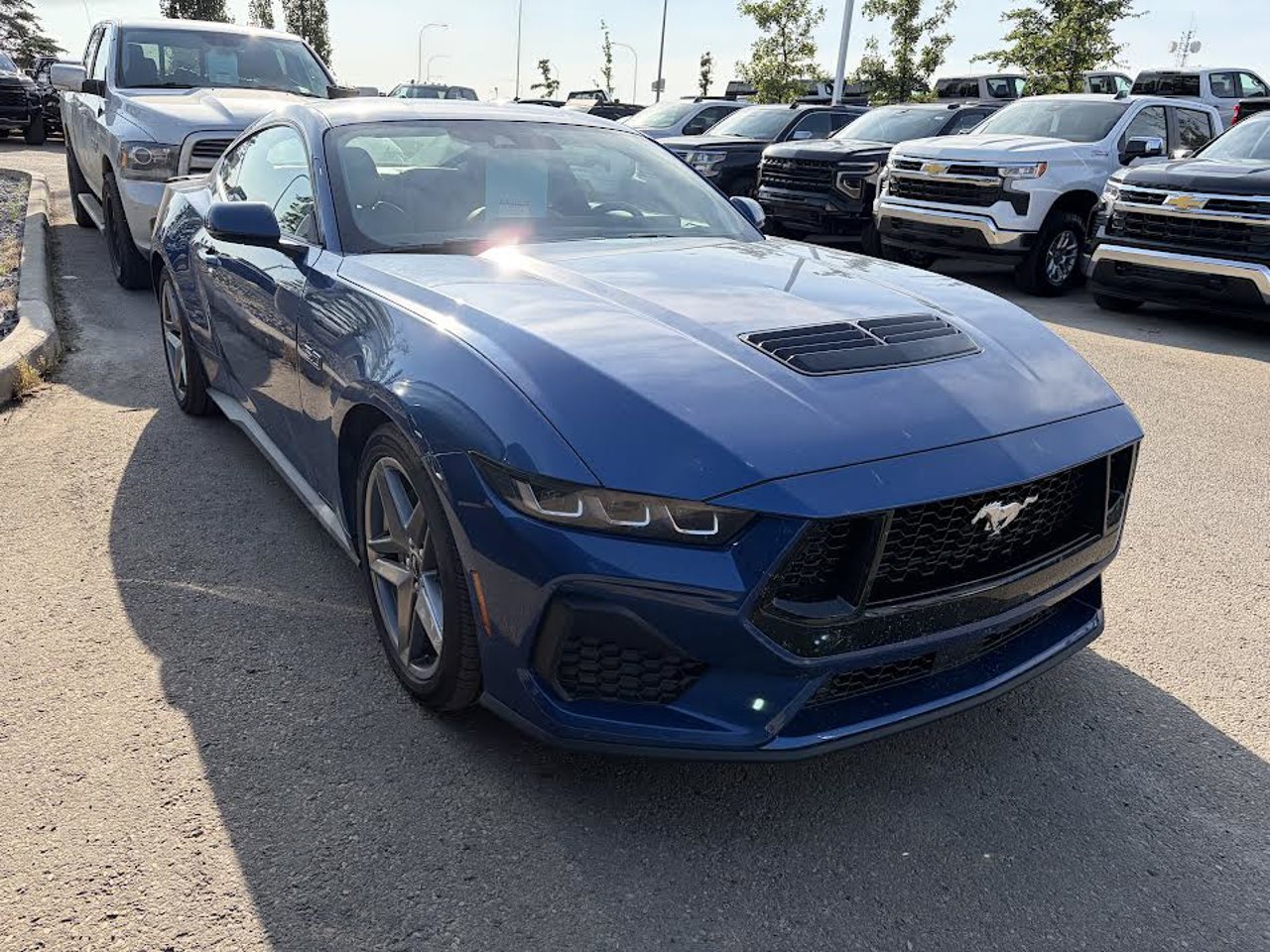 2024 Ford Mustang GT Premium Fastback Blue Sherwood Park - photo #1