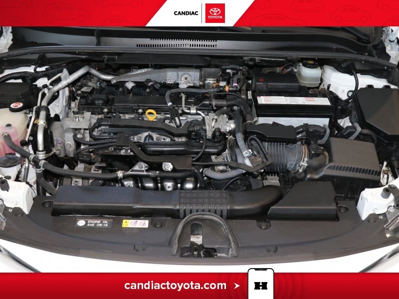 2019 Toyota Corolla White Blainville - photo #34