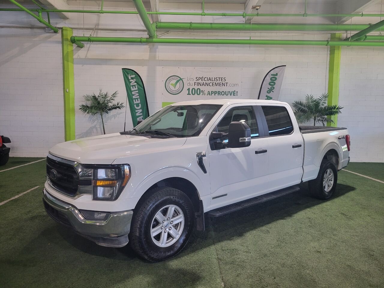 2023 Ford F-150 White  - photo #0