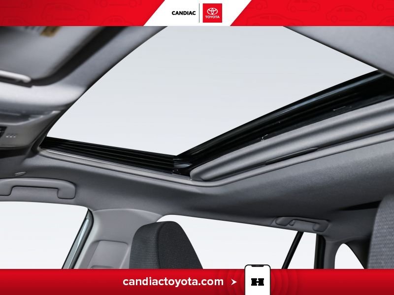 2025 Toyota Rav 4 Grey Saint-Eustache - photo #30