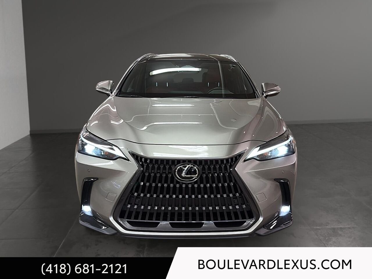 2022 Lexus NX Silver Quebec - photo #1