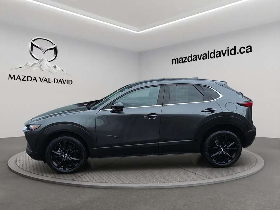 Mazda CX-30 2024 2024 Gris