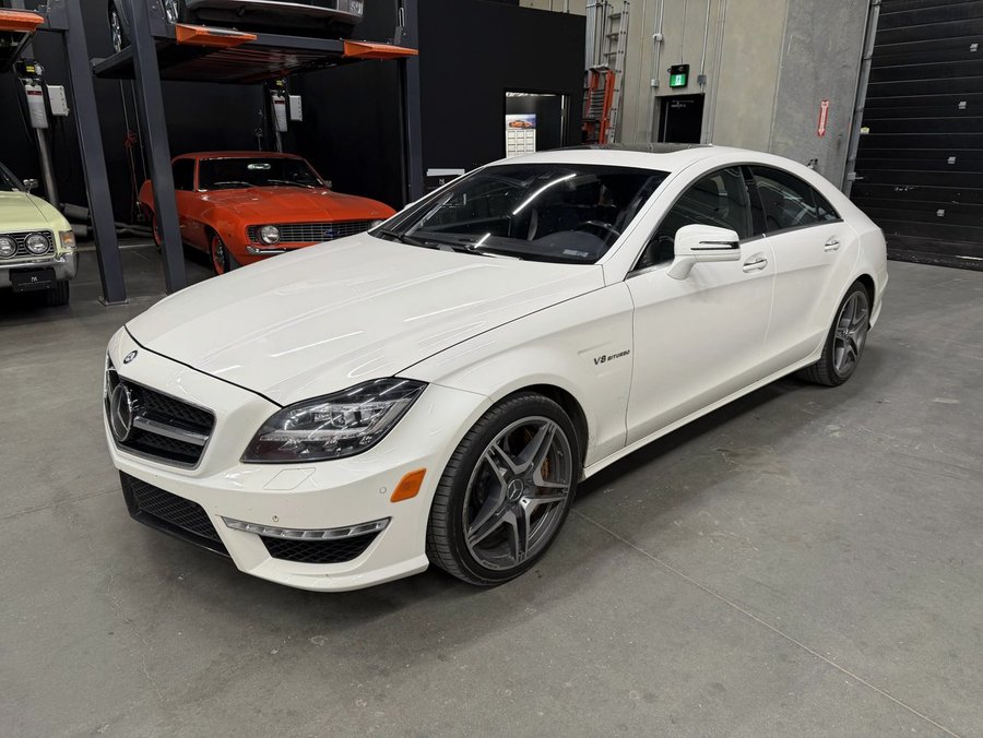 2014 Mercedes-Benz CLS-Class 2014 White